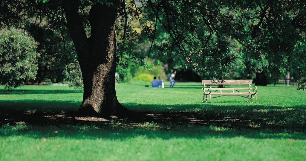 McFee Park