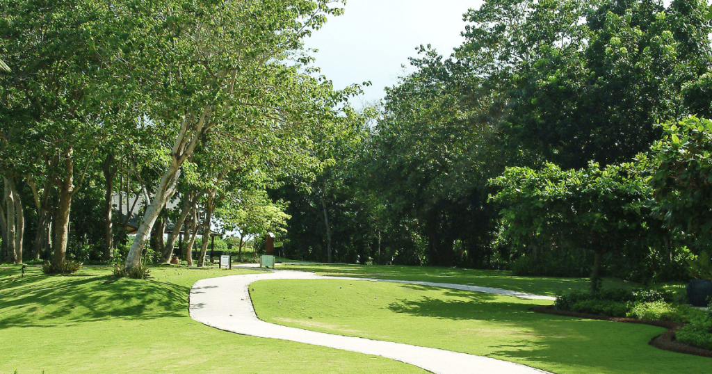 Lakeshore Park
