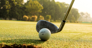 This image is by Saddlebrook Properties.