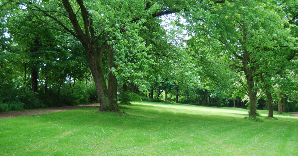 West Hills / John Bynon Park